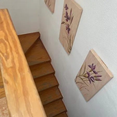 Дом отдыха Villa Mirea *